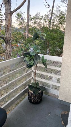 Modern Faux House Plant