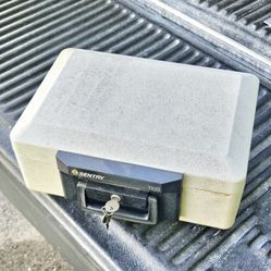 Small Sentry Gun/ Document Safe 