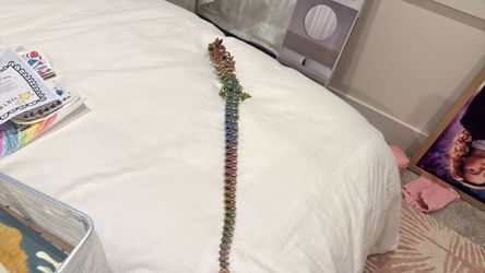 Rainbow dragon