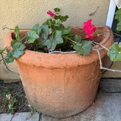 Large Pots