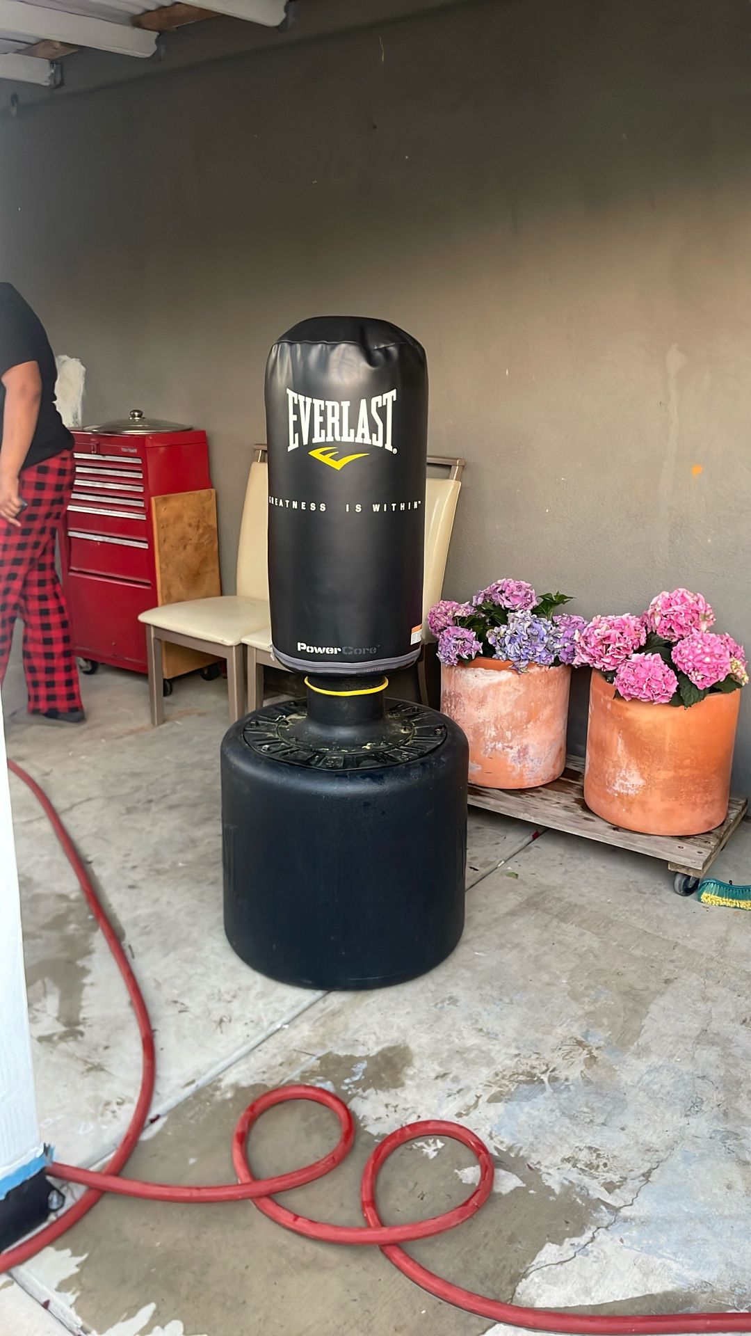 Everlast Standing Punching Bag