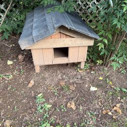 Little Dog House