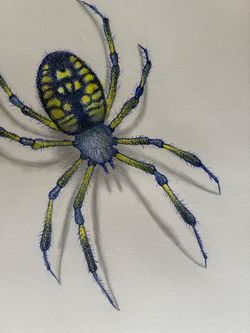 Acrylic Painting Art "Garden Spider" Size 9"x12" Original