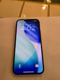 iPhone 13 Pro Max unlocked