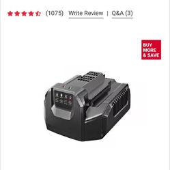 NEW : EGO Model CH2100 56v Battery Charger