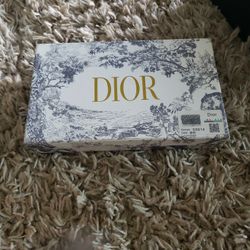 Dior Chain Wallet 