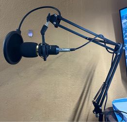 Pro mic with stand and filter