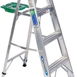 Warner 6ft Ladder