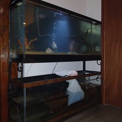 Two tank stand top 75g bottom 65g