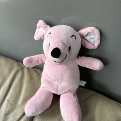 Pink Teddy