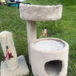 Gatos
