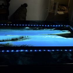 Custom Epoxy Resin LED Ocean View W/sound Kitchen Table 