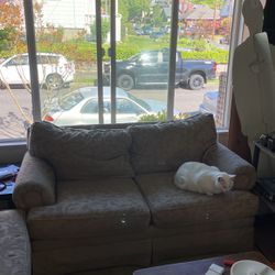 PICKUP ONLY: free loveseat
