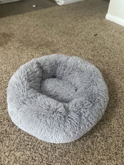 Pet Bed
