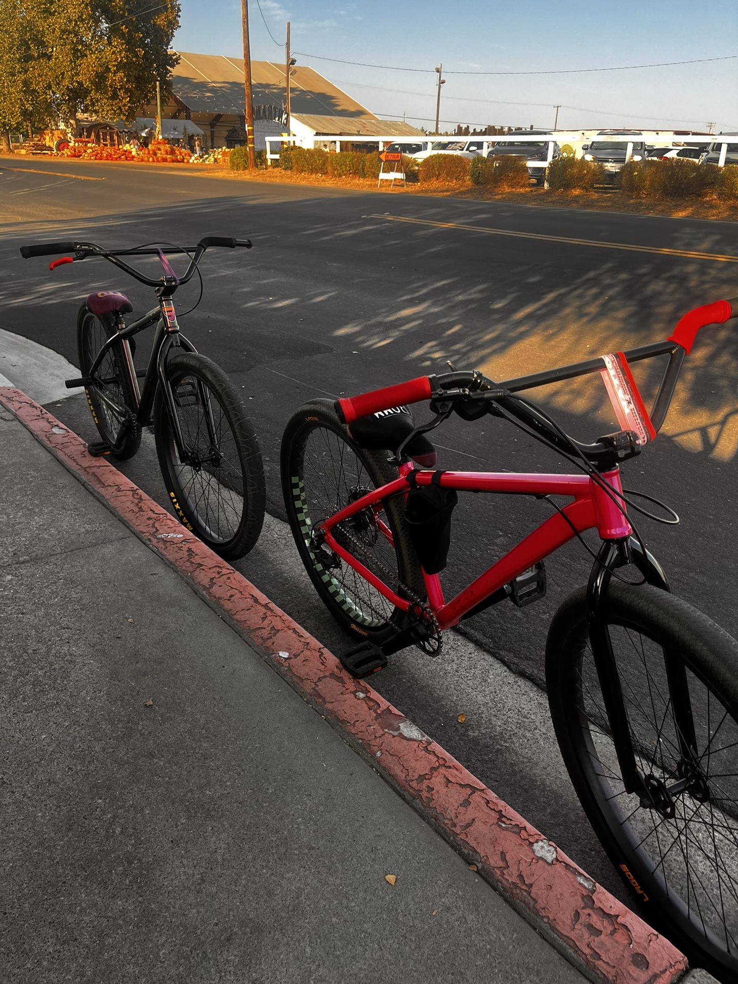Mafia Bike