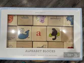 Pottery Barn Kids Educational Alphabet Blocks