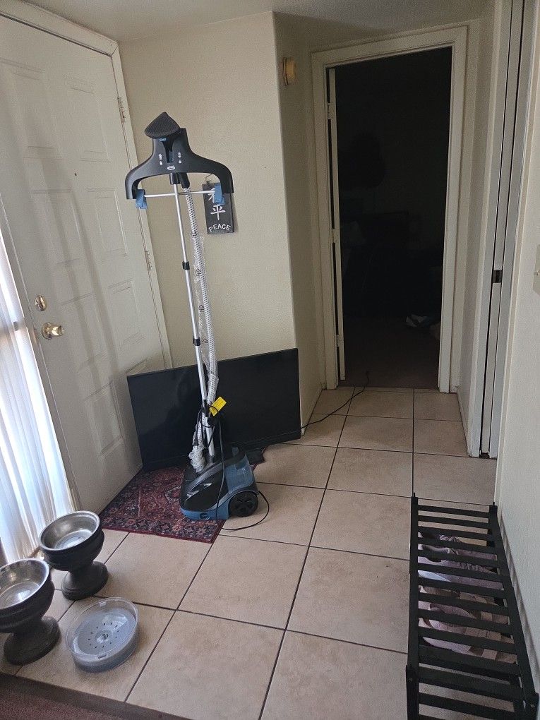 Rowenta Garment Steamer
