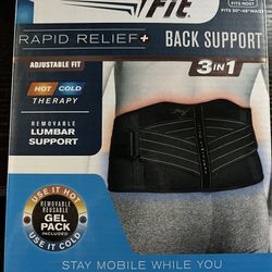 Copper Fit Unisex Adult Rapid Relief Back Support Brace with Hot/Cold Therapy, Black, Adjustable