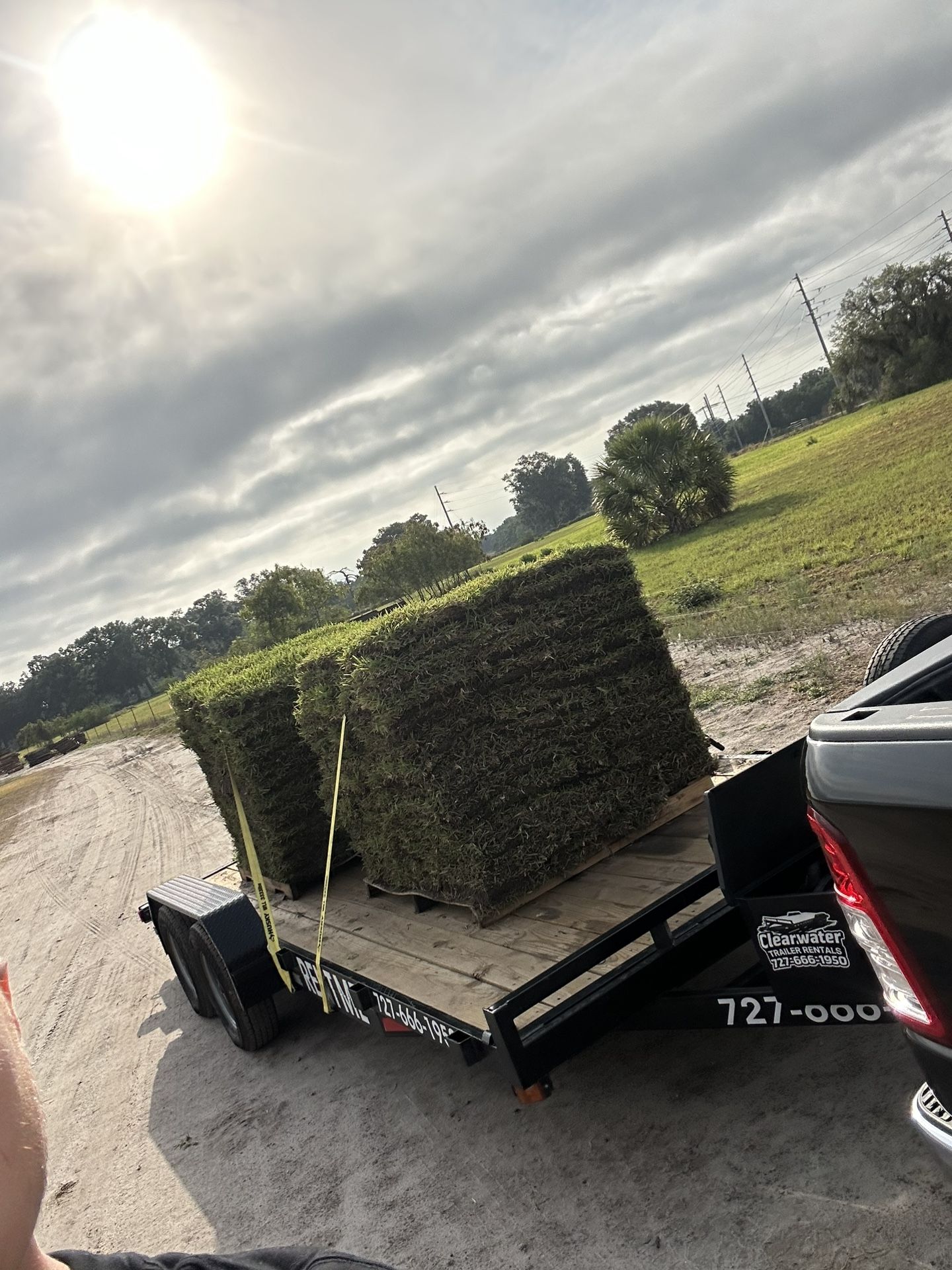 St.Augustine Grass (SOD)