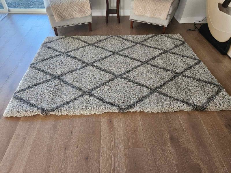 Area Rug 5×7