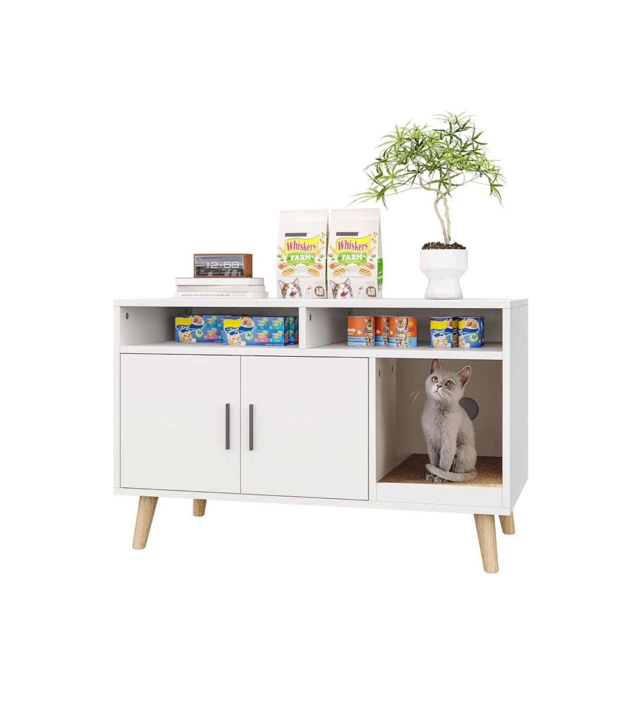 Cat Litter Box Enclosure