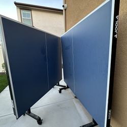 Ping Pong Table