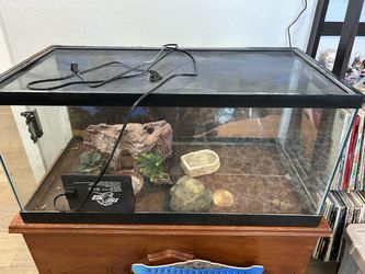 40 gallon tank