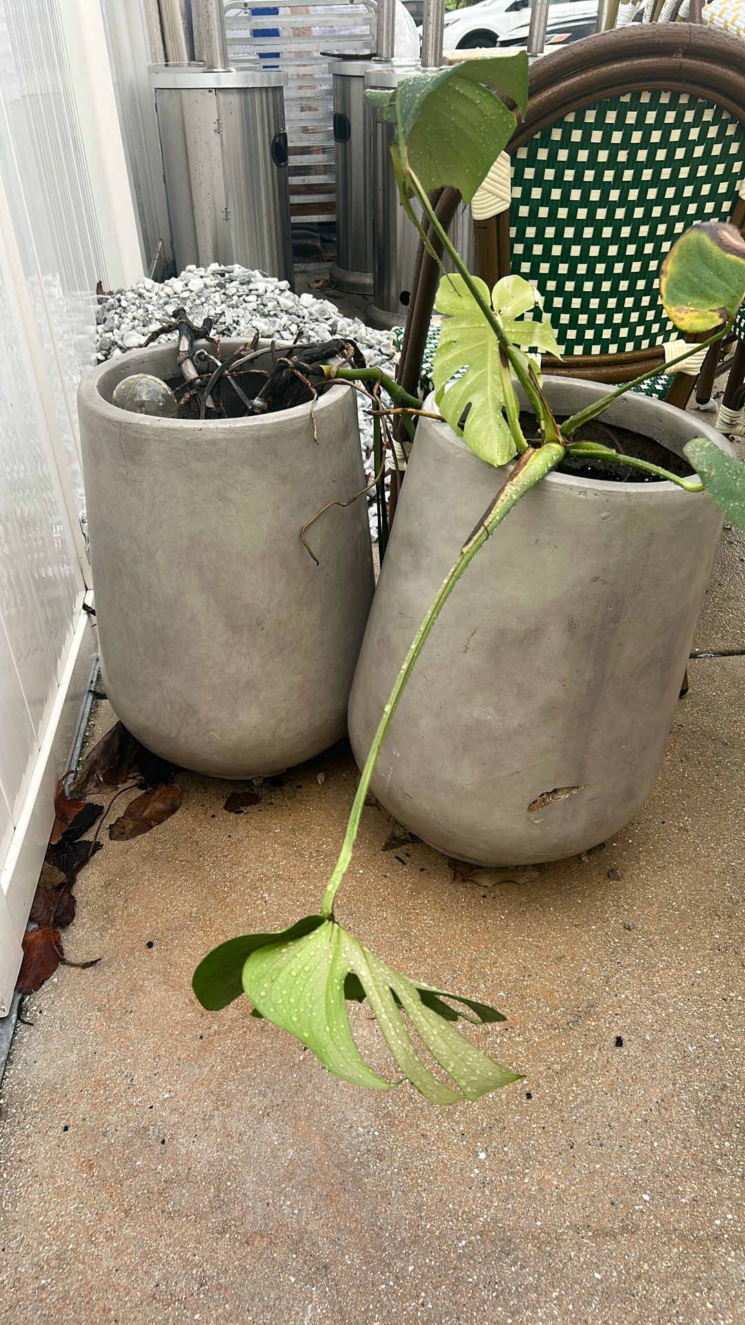 Planters