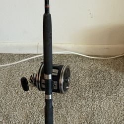 Penn Senator 114L2 6/0 +7 Ft Daiwa Beef Stick 50lbs