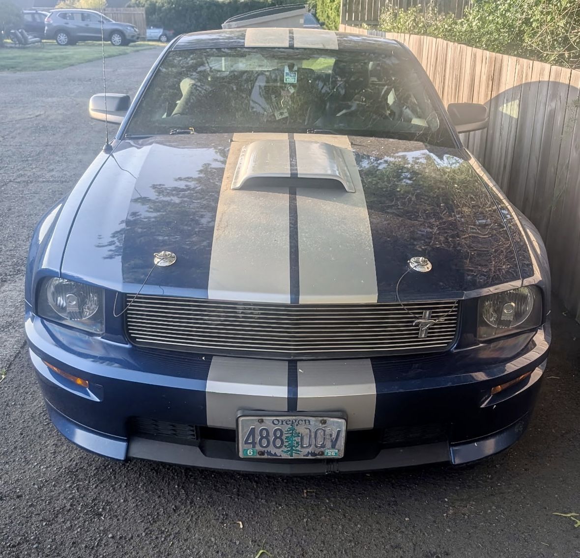 2008 Ford Shelby Gt500