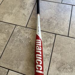 Marucci Cat 8  34 Inches 