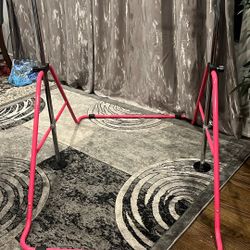 Pink Kids Gymnastic Bar