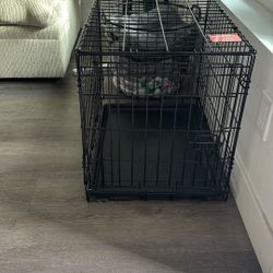 Dog Kennel