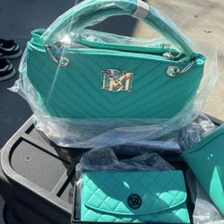 Purse Brand New