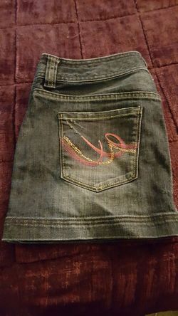 Express skirt size 12