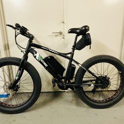 Ecotric Fat Tire 