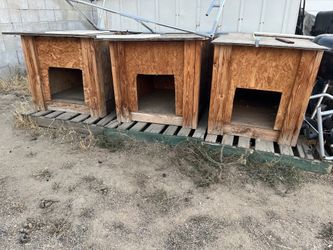 Dog Houses