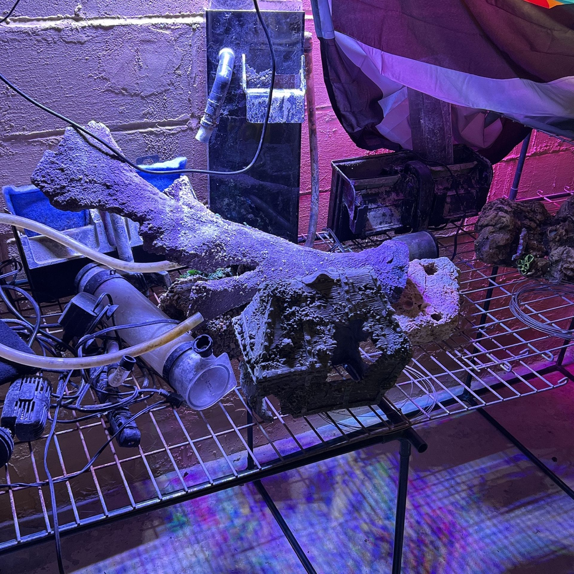 Saltwater Aquarium Equipment 