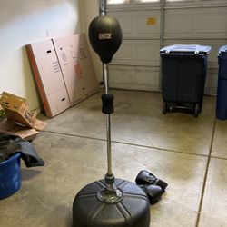 Punching Bag & Gloves 