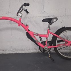 Sync Link Co-Pilot. Bike Attachment