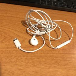 Apple Earbuds w/Lightning Cable