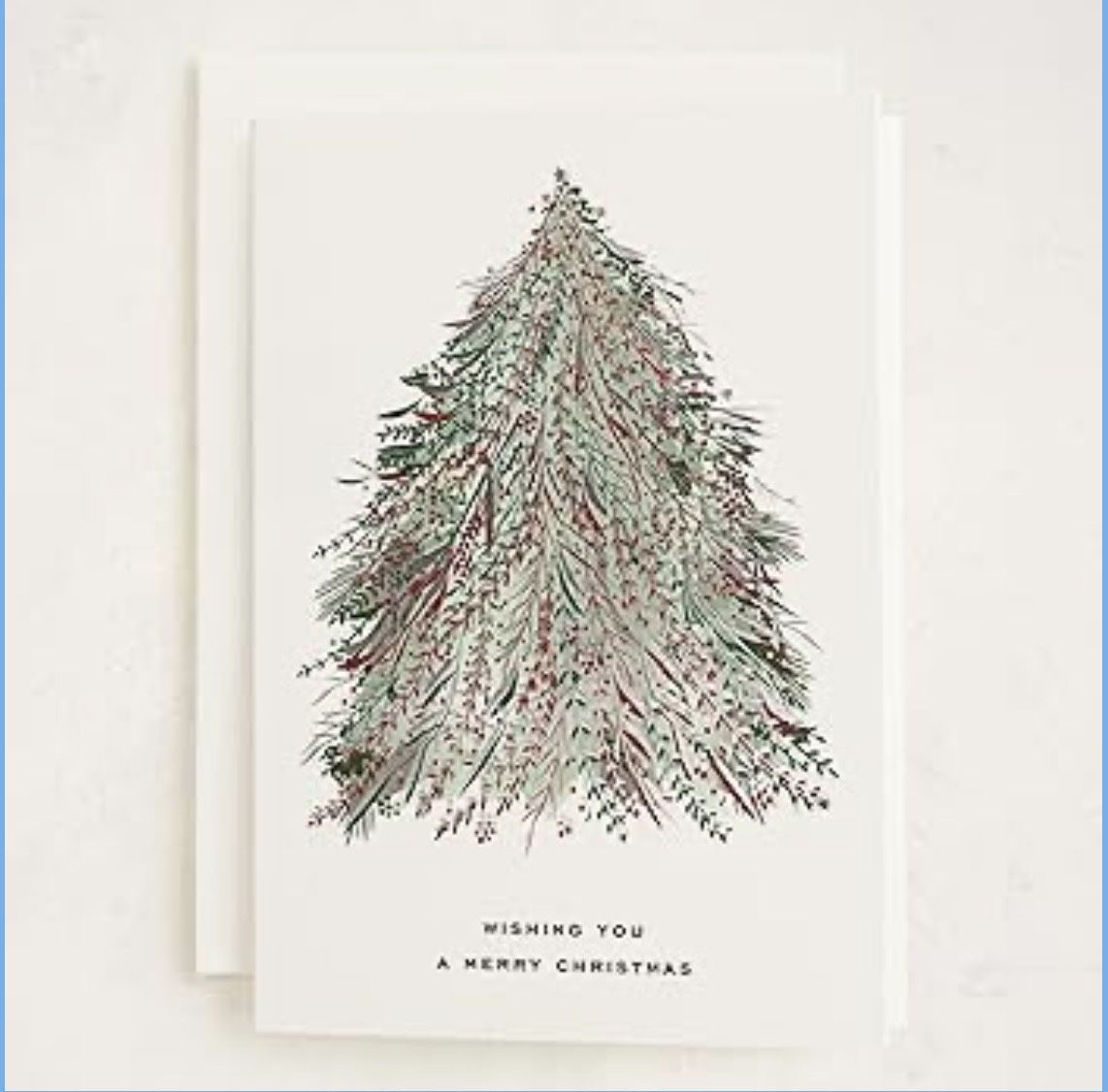 Minted Enchanted Christmas Cards, 8 Cards with 8 White Envelopes