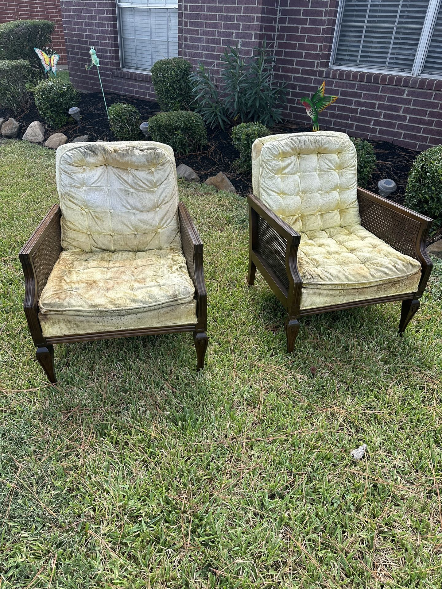 (2) CHIPPENDALE STYLE CHAIRS W/CANE SIDES EXCELLENT FOR RESTORATION