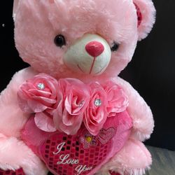 Pink Teddy Bear 