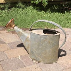 Vintage Watering Can Garden Flowers  Yard Glavanized