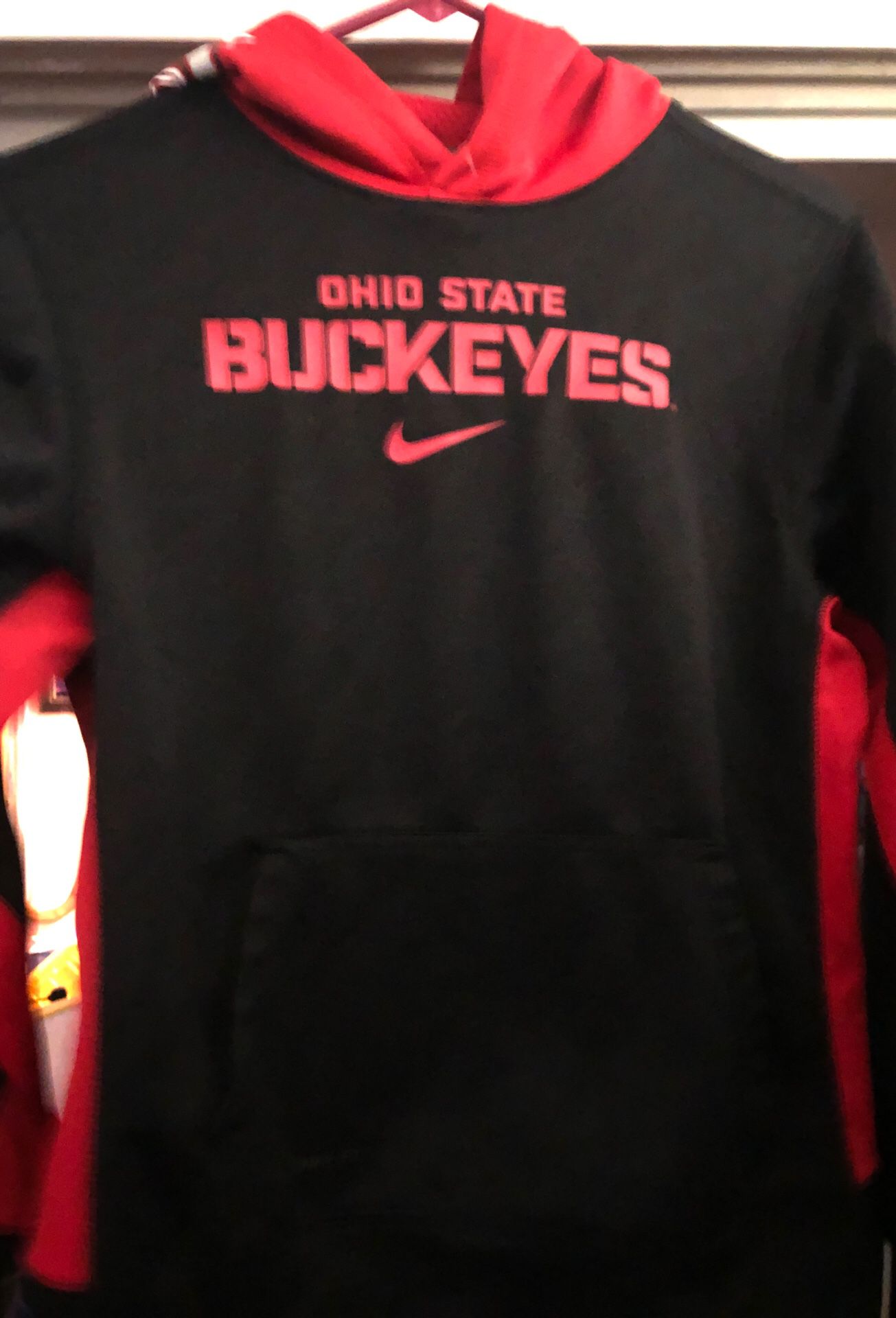 The Ohio state buckeyes hoodie