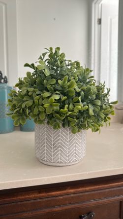 Faux Greenery in White Chevron Textured Pot – 11”