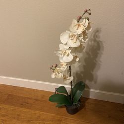32” White Phalaenopsis Artificial Orchid