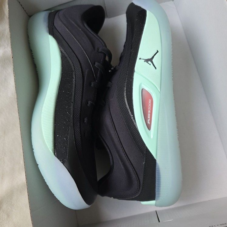 Jordan Zion 4
