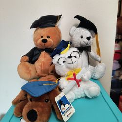 Graduation Plushies/Stuffed Animal
